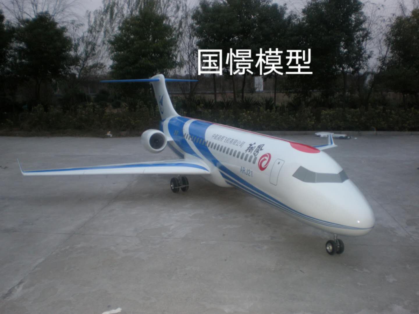 金乡县飞机模型