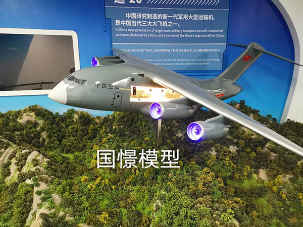 金乡县飞机模型