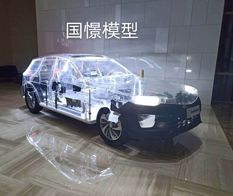 金乡县透明车模型